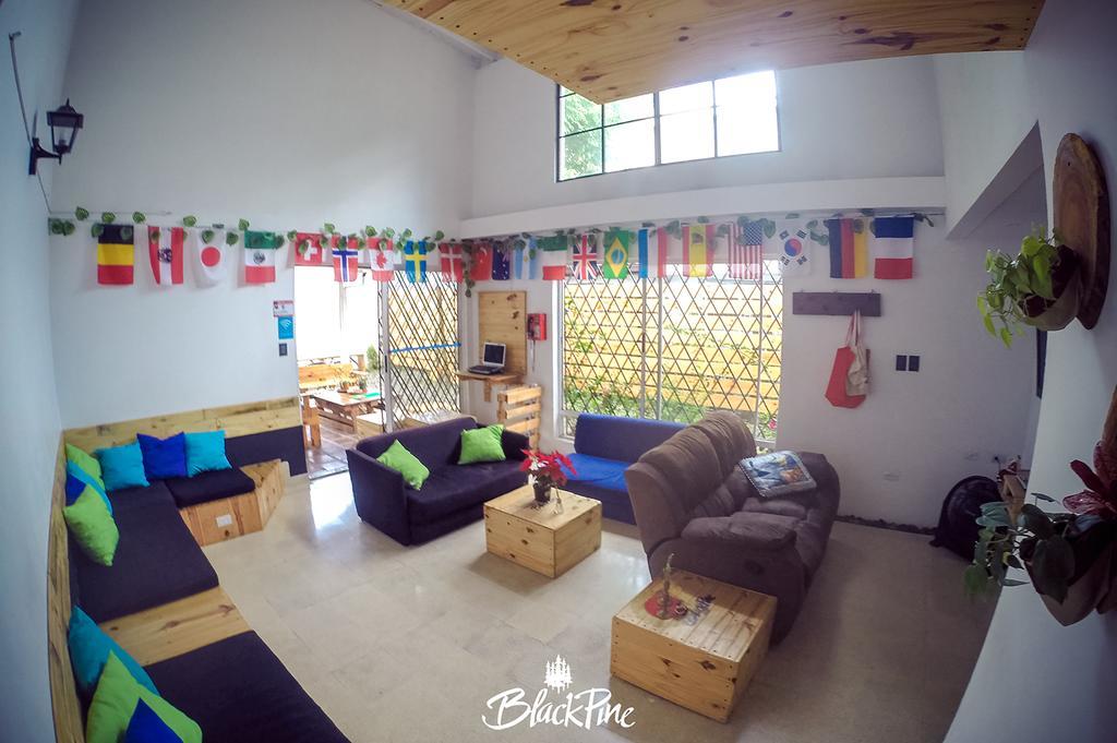 Blackpine Hostel Medellín Exterior foto